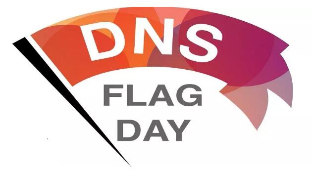 DNS Flag Day，验证你当前域名解析服务商是否符合规范